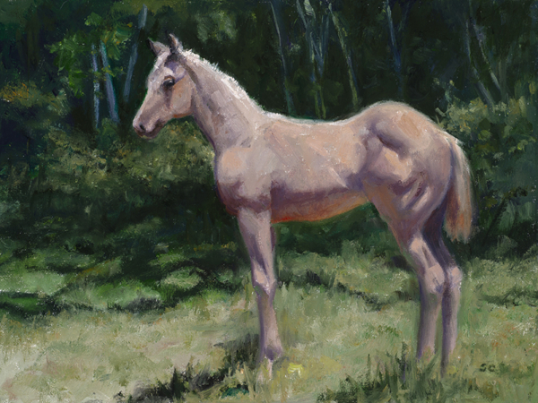 Sheila Cottrell, Colt (mini)
